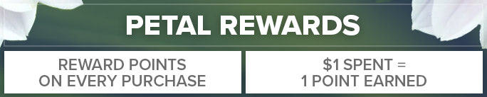 Rewards Points