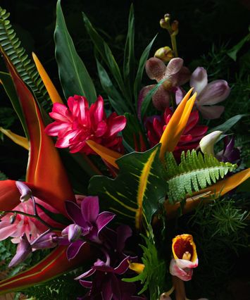 Tropical Flowers
