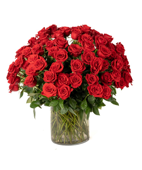 100 ROSES VASED