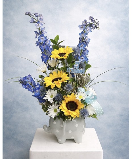 ELEPHANT HUGS FOR HIM ARRANGEMENT