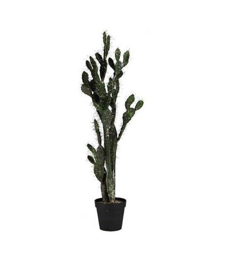 Cactus Plant (Silk)