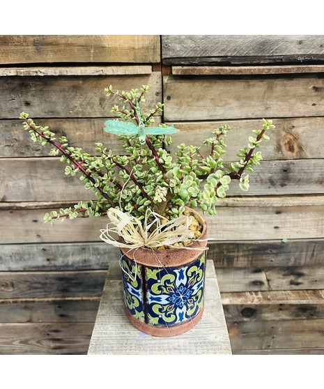 ADOBE SUCCULENT PLANTER