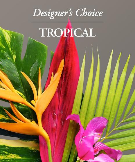 Designer's Choice- Tropical Arrangement