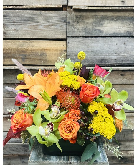 LUXURY HARVEST DESIGN