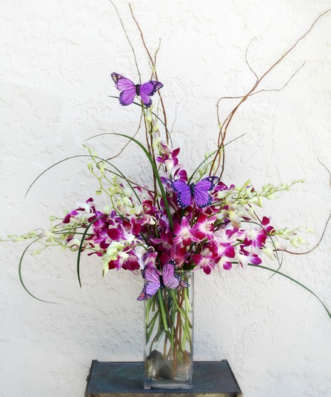 Orchids & Butterflies