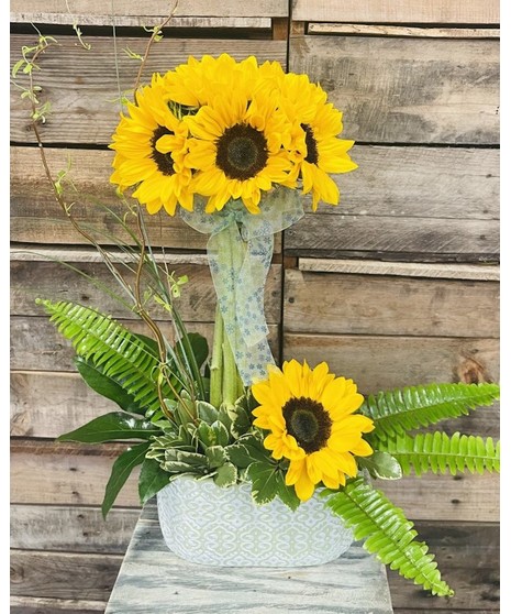 Pour on the Sunshine