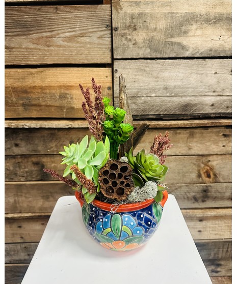 Talavera Succulents (Silk)