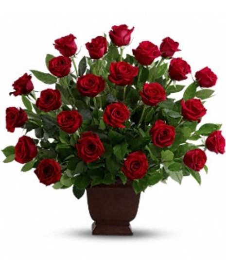 Rose Tribute