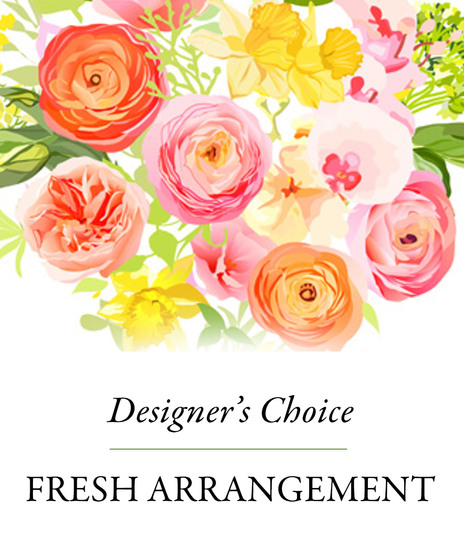 Designer's Choice