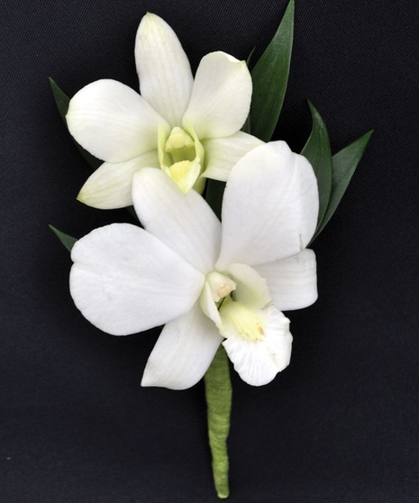 Dendrobium Orchid Boutonniere