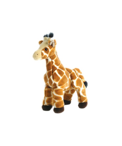 Zenith Giraffe (12