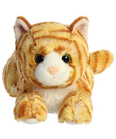 Ginger Cat