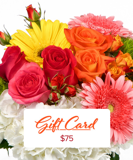 GIFT CARD $75