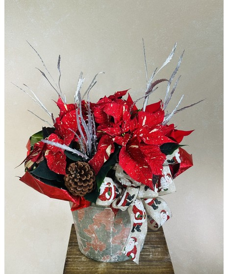 JINGLE BELL  POINSETTIA PLANT (8