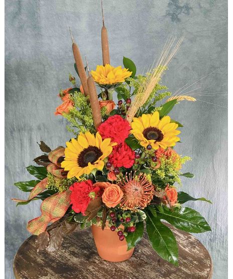 Autumn Garden Blooms