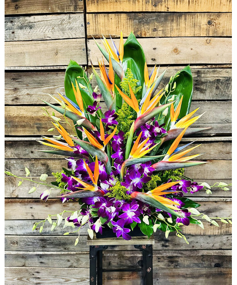Birds of paradise and purple dendrobiums in modern design