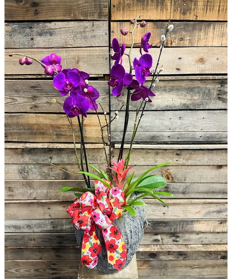 Tropical Planter Garden