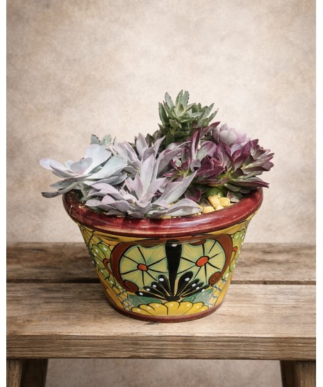 TALAVERA BURGUNDY RIM W/SUCCULENTS