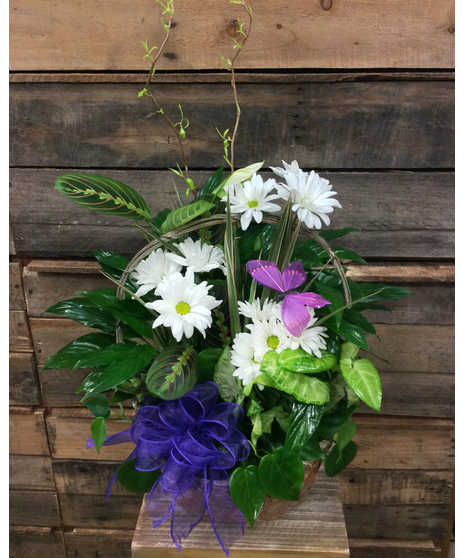 Basket Dish Garden (Premium)