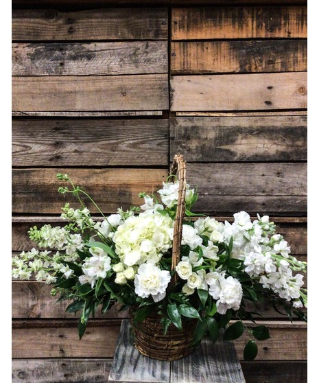 Basket of Light