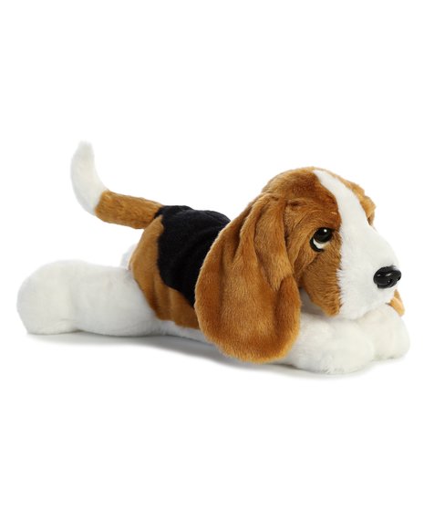 Basset Hound