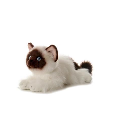 Bella Birman Cat Flopsie