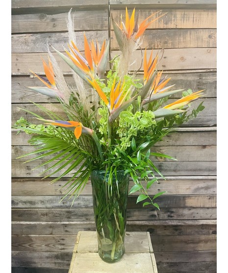Birds In Bloom