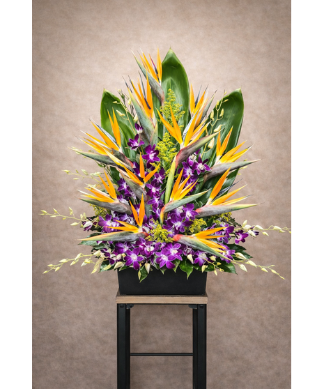 Birds of paradise and purple dendrobiums in modern design