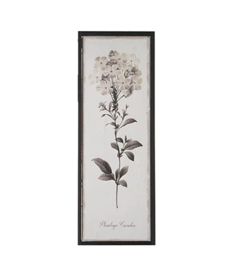 Botanical Framed Textured Wood Wall Art