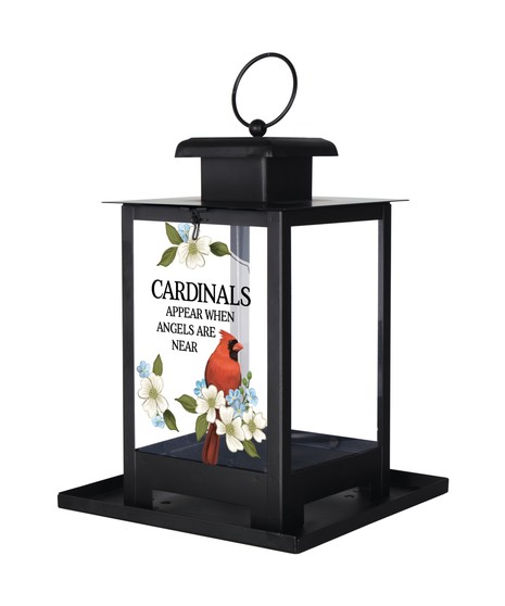 Cardinals Appear Bird Feeder