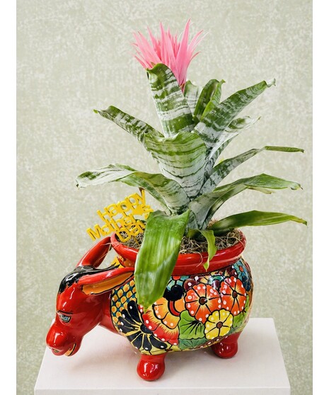 Talavera Donkey with Bromeliad