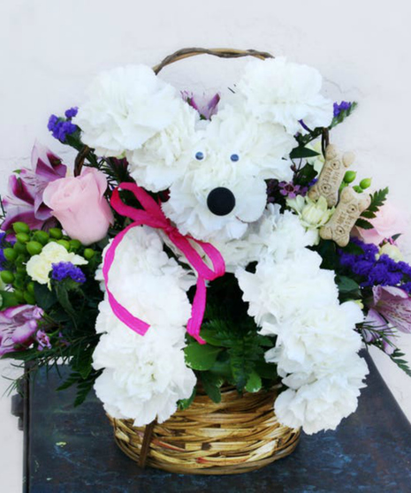 Doggone Cute