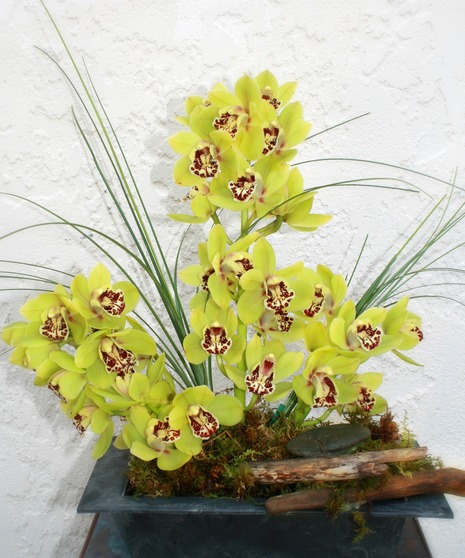 Driftwood Orchids - orchids and driftwood. 