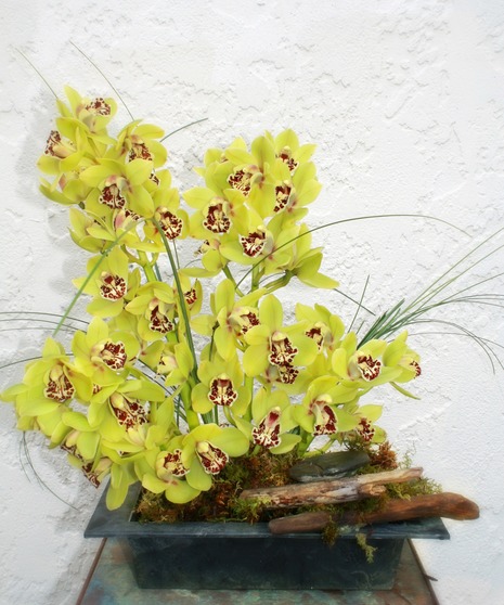 Driftwood Orchids - orchids and driftwood. 