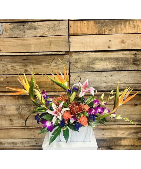tropical design in lush style on wooden background