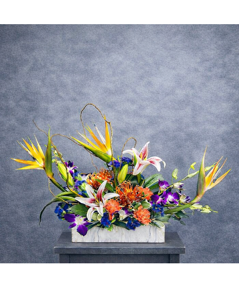 Exotic Tropical Paradise