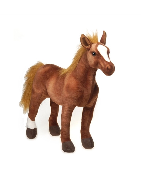Thoroughbred Horse