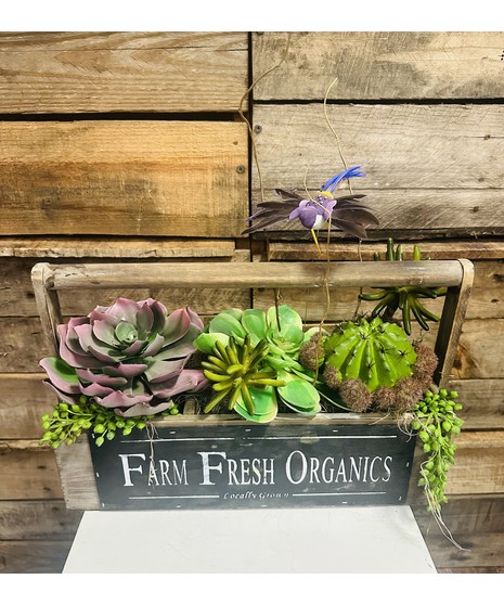 Farm Fresh (Silk)