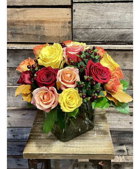 Fall Colored Roses