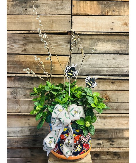 Gardenia Plant In Talavera Pottery