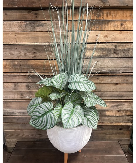 Calathea Plant (Silk)