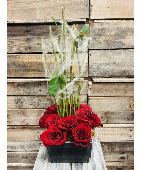 Morticia's Boo-tiful Roses