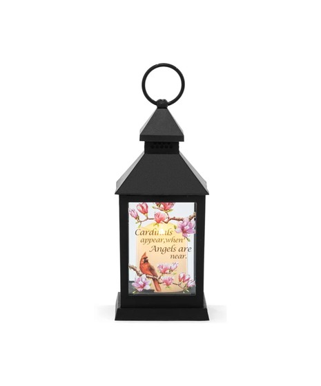 Cardinals Appear LED Lantern