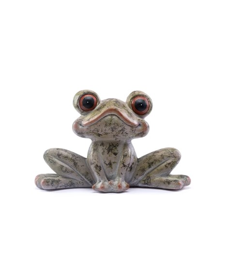 Big Eye Sitting Frog