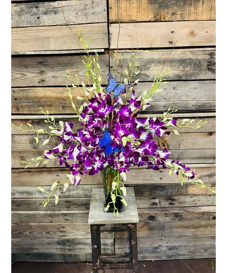 Orchids & Butterflies - Dendrobium orchids, purple and butterflies 