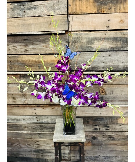 Orchids & Butterflies - Dendrobium orchids, purple and butterflies 