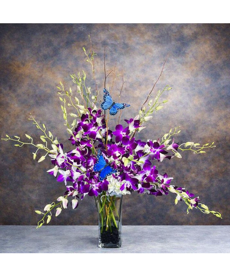 Orchids & Butterflies