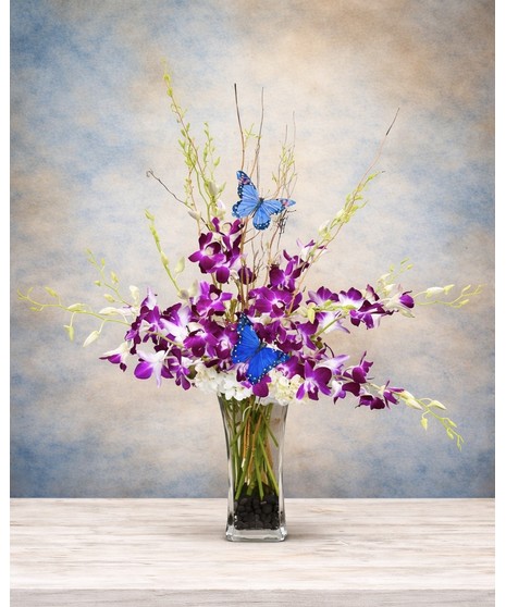 Orchids & Butterflies - Dendrobium orchids, purple and butterflies 
