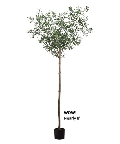 Olive Tree (Silk)