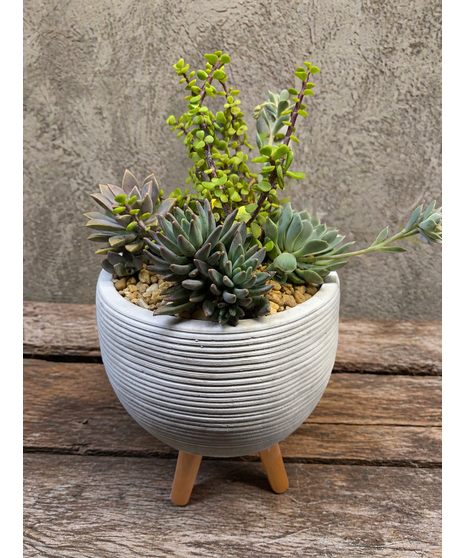 ARCHITECTURAL SUCCULENT PLANTER
